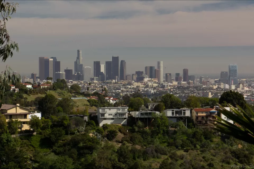 Los Angeles Skyline with houses